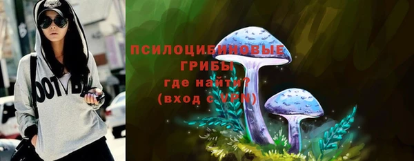 дмт Бородино