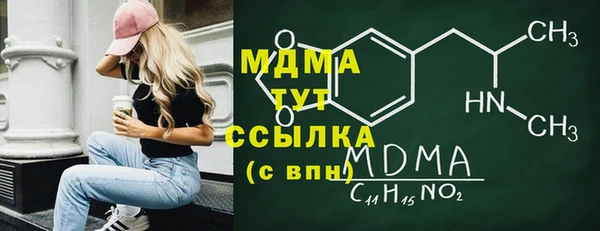 дмт Бородино