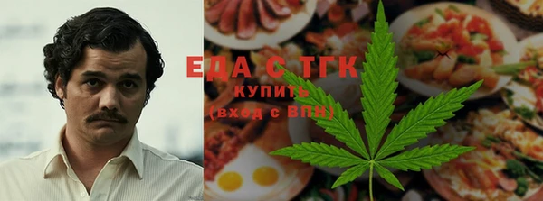 дмт Бородино