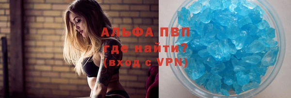 дмт Бородино