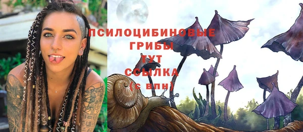 дмт Бородино