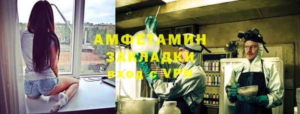 индика Лабытнанги