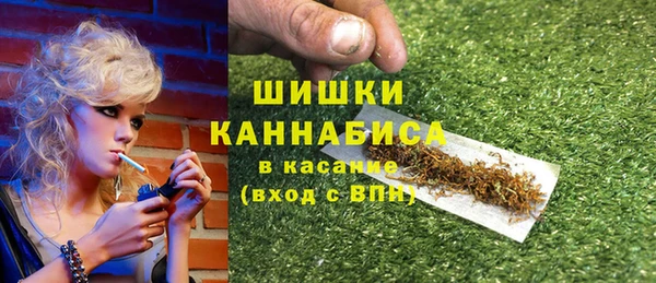 дмт Бородино