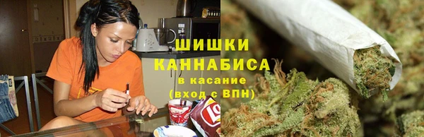 дмт Бородино